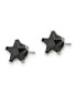 Stainless Steel Polished Black Star CZ Stud Earrings