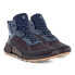 Ecco Biom 2.1 Mountain Mid Gtx