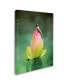 Фото #2 товара Jai Johnson 'Hummingbird And The Lotus Flower' Canvas Art - 32" x 24" x 2"