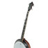 Фото #7 товара Richwood RMB-905-A 5 String Banjo
