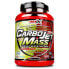 Фото #1 товара AMIX Carbojet Mass Muscle Gainer Fruits Forest