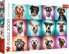 Фото #1 товара Trefl Puzzle 2000 elementów Zabawne psie portrety II