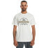 ფოტო #1 პროდუქტის QUIKSILVER Floatin Garouns short sleeve T-shirt