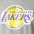 Фото #2 товара Mitchell & Ness NBA Los Angeles Lakers Team Logo Tee M BMTRINTL1268-LALGYML