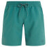 Фото #3 товара PROTEST Haupuka Swimming Shorts