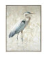 Great Blue Heron I Canvas