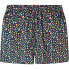 Фото #2 товара HACKETT Fruit Bowl Swimming Shorts