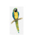 Фото #1 товара Grace Popp Teal Macaw II Canvas Art - 37" x 49"