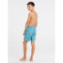 PROTEST Hein Swimming Shorts