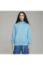 x PALOMO Hoodie Dusty Aqua