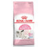 ROYAL CANIN Mother Babycat Poultry Adult 4kg Cat Food Разноцветный, 4kg - фото #2