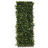Фото #6 товара Целозия Natural Laurel плетеный Бамбук 2 x 200 x 100 cm