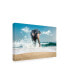 Фото #2 товара PhotoINC Studio Elephant on the Beach Canvas Art - 15.5" x 21"