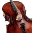 Фото #5 товара Scala Vilagio L.V. Montagnana Cello 4/4
