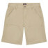 DICKIES Duck Canvas Chap shorts