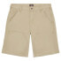 Фото #1 товара DICKIES Duck Canvas Chap shorts