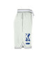 ფოტო #4 პროდუქტის Men's White Kentucky Wildcats DNA 3.0 Performance Shorts