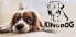 Фото #10 товара AIO FACTORY Legowisko personalizowane KINGDOG 115x95 niebieskie