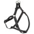 FERPLAST Easy Harness