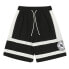 Hurley Logo H22K506 Shorts