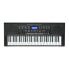 keymaXX PL-261 61-Note Portable Illuminated Keyboard (Black)