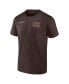 Men's Brown Cleveland Browns Split Zone T-Shirt