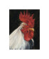 Фото #1 товара Ethan Harper Rooster Portrait I Canvas Art - 37" x 49"