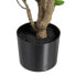 Фото #2 товара Декоративное растение 80 x 77 x 113 cm Зеленый PVC Aralia