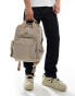 Dickies lisbon back pack in sand- exclusive to asos