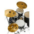 Фото #6 товара Pearl Roadshow 20" Plus Jet Black