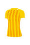 Фото #1 товара Футбольная форма Nike Dri-Fit Division III Женская Желтая CN6888-719