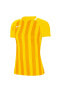 Фото #1 товара Футбольная форма Nike Dri-Fit Division III Женская Желтая CN6888-719
