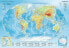 Фото #2 товара Trefl Puzzle 1000el - Mapa fizyczna świata (10463)