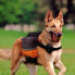 ფოტო #5 პროდუქტის FERPLAST Dog Scout Harness And Leash