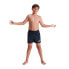 Фото #2 товара SPEEDO Essential 13´´ Swimming Shorts