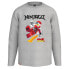 Фото #1 товара LEGO WEAR M12010578 long sleeve T-shirt