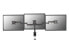 Фото #4 товара Кронштейн Equip 13"-27" Articulating Triple Monitor Desk Mount Bracket - Clamp - 24 kg - 33 cm (13") - 68.6 cm (27") - 100 x 100 mm - Black