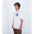 ფოტო #3 პროდუქტის HURLEY Everyday Halfer Gradient short sleeve T-shirt