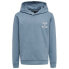 Фото #1 товара HUMMEL Proud hoodie