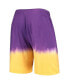 Men's Purple, Gold Los Angeles Lakers Hardwood Classics Authentic Shorts