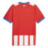 Фото #3 товара PUMA Girona FC 23/24 Short Sleeve T-Shirt Home