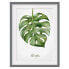 Bild Aquarell Botanik Monstera III