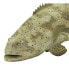 SAFARI LTD Goliath Grouper Figure