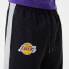Фото #6 товара NEW ERA Los Angeles Lakers NBA Large Graphic joggers