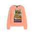 Фото #1 товара SUPERDRY Neon Travel Loose sweatshirt