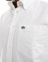 Lacoste long sleeve shirt in white Белый, L - EU 41-43 - фото #3