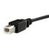 StarTech.com 3 ft Panel Mount USB Cable B to B - F/M - 0.91 m - USB B - USB B - USB 2.0 - 480 Mbit/s - Black
