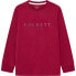 Фото #1 товара HACKETT Logo long sleeve T-shirt