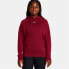 Фото #2 товара UNDER ARMOUR Rival Fleece hoodie