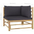 Garten-Lounge-Set (2-teilig) 3007512-3